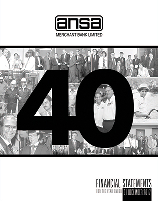 2017 financial report